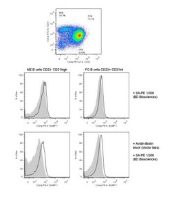 BLIMP1/PRDM1 Antibody (3H2-E8), Biotin, Novus Biologicals 0.1mL; Biotin:Antibodies,